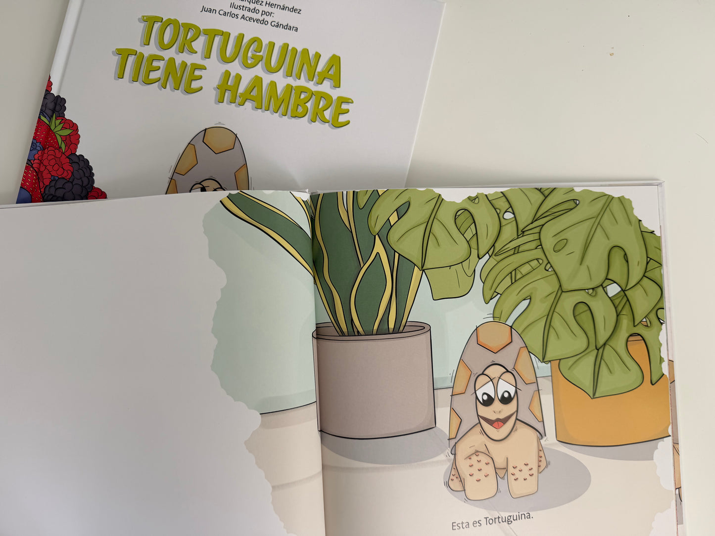 Tortuguina tiene hambre