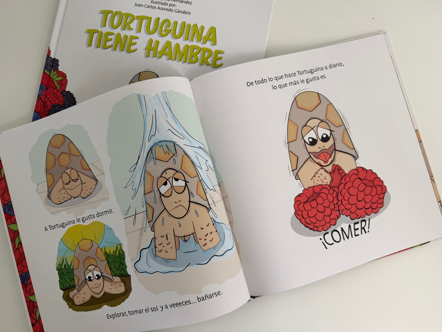 Tortuguina tiene hambre